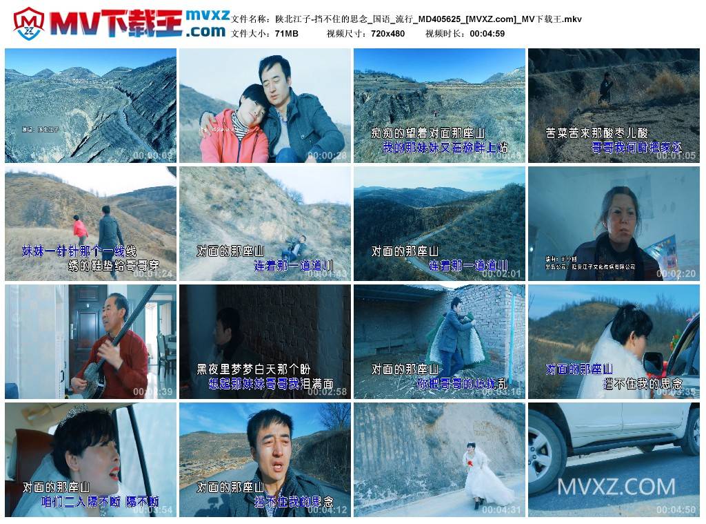 陕北江子-挡不住的思念_国语_流行_MD405625